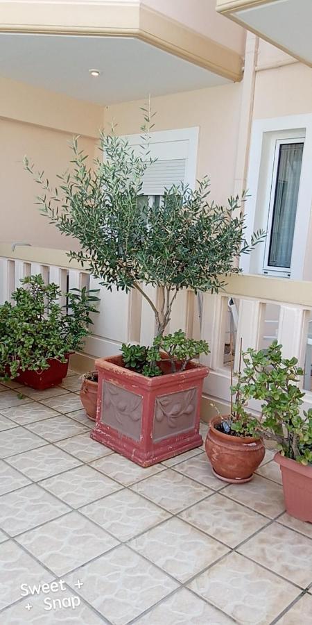 Malou Apartments Kato Daratso Luaran gambar